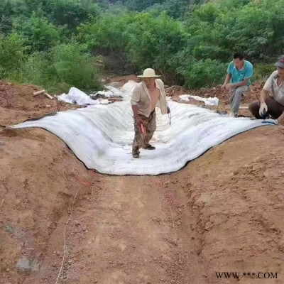 环悦 水泥毯 水渠水泥毯 护坡水泥毯 水泥毯厂家 帆布水泥毯