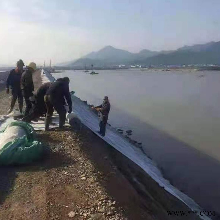 环悦 水泥毯 水渠水泥毯 护坡水泥毯 水泥毯厂家 帆布水泥毯图3