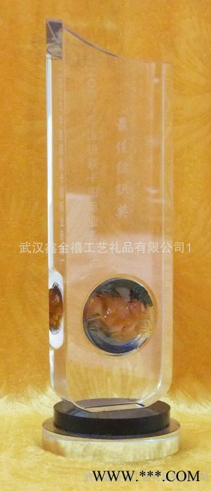 金禧水晶奖杯奖牌水晶工艺品水晶礼品加工激光雕刻 水晶内雕工艺003图2