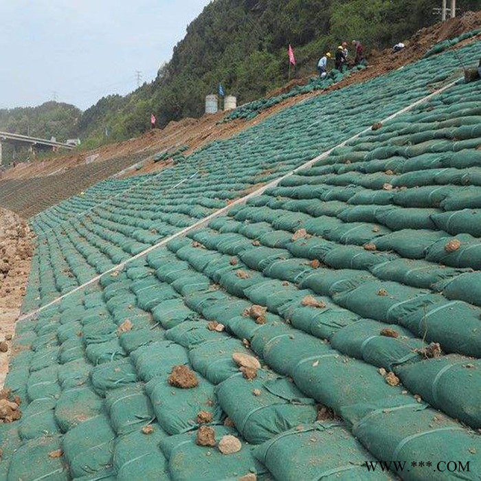 泰安批发厂家供应  环保绿色生态袋 无纺布生态袋 批量生产 量大从优图4