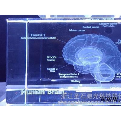 圣石激光激光雕刻机三维水晶内雕机激光雕刻机3D立体激光雕刻人物雕刻鱼缸玻璃中空标