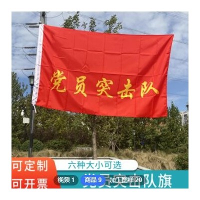 定制 各种队旗 党员突击队 党员先锋队 青年突击队旗子 免费印字