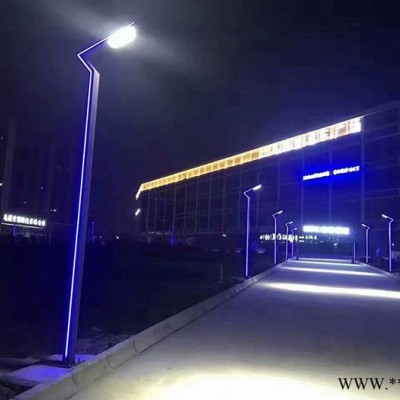 厂家专业制作 LED高亮景观灯 小区广场庭院灯 铝型材景观灯