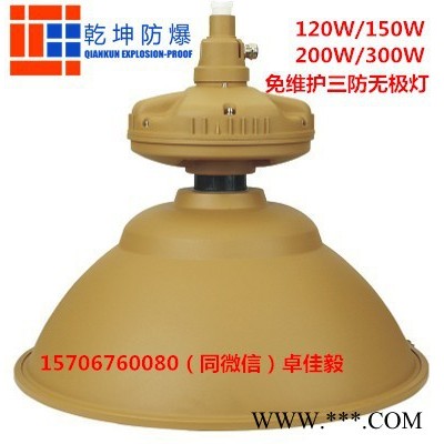 SFD6110(SBF6110)120W三防灯|免维护节能防水防尘防腐工厂灯|IP65|150w200w300w无极灯