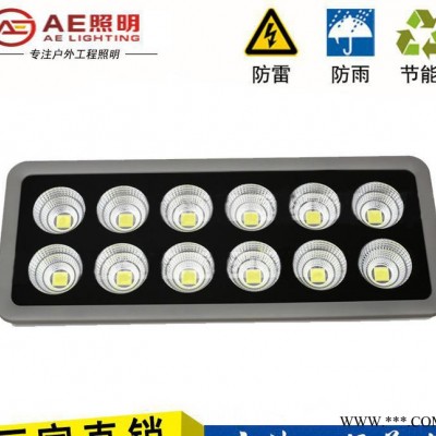 AE照明led泛光灯投光灯50W100W150W200W250W300W400W600W大功率