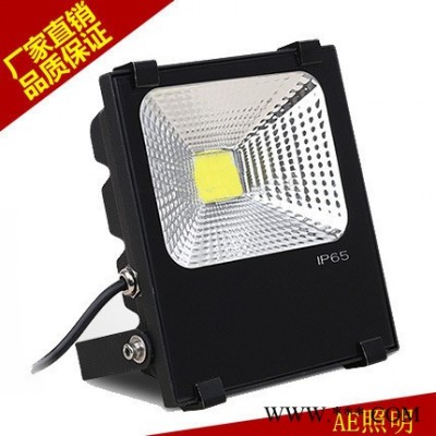 AE照明LED投光灯10w20w30Ｗ50W100W瓦广告灯招牌灯