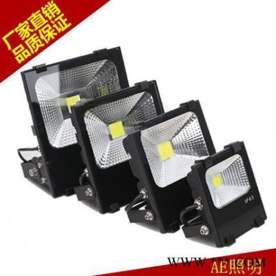 AE照明LED投光灯10w20w30Ｗ50W100W瓦P65户外防水