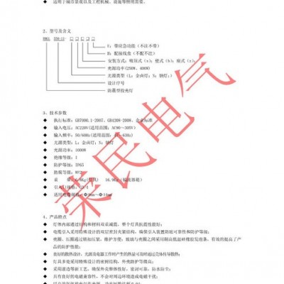 NTC9230防震型投光灯 三防投光灯投光灯 金卤灯  高压钠 荣民电气RMGL550-II NTC9230投光灯防震型