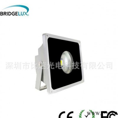 深圳专业生产 30W LED泛光灯 LED投光灯(图)