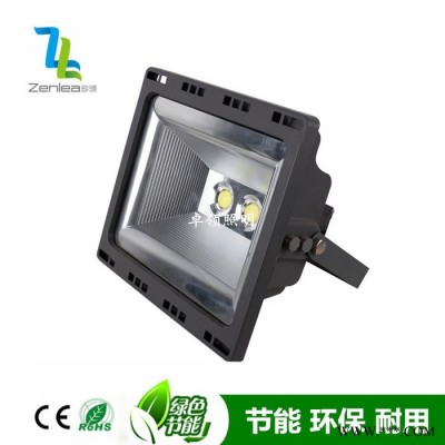 Zenlea珍领ZL-FL50-JGLED投光灯 COB新款投光灯 COB泛光灯 LED户外防水广告灯