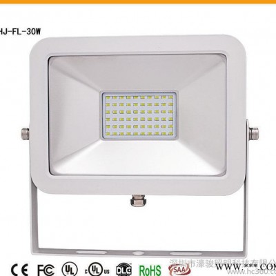 LED投光灯/LED泛光灯10W20W30W50W