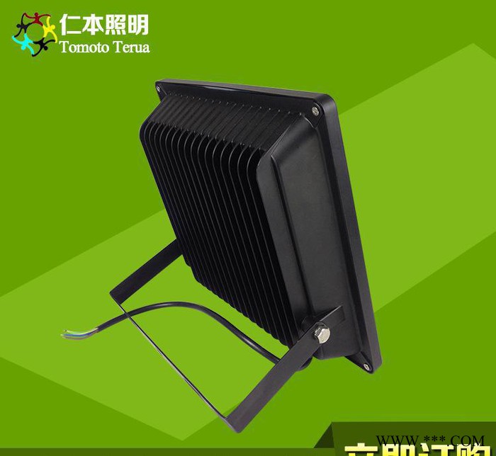 LED投光灯 LED户外投光灯 透镜型防水投光灯 50W10