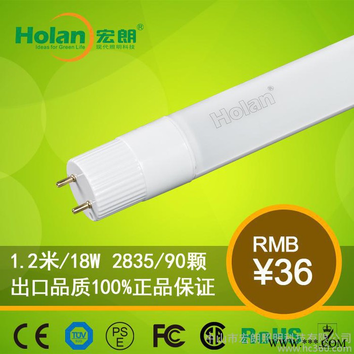 供应HolanT804AT8灯管日光管办公室照明商业照明工业照明