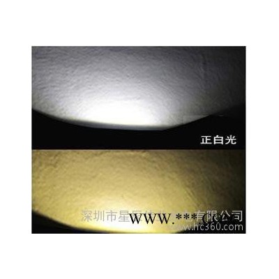 led50W投光灯 白光大功率 LED泛光灯 投光灯 室外照