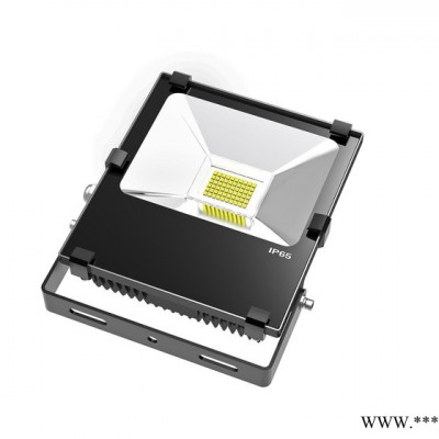 直销30W户外LED防水投光灯超频三泛光灯集成贴片工程专用