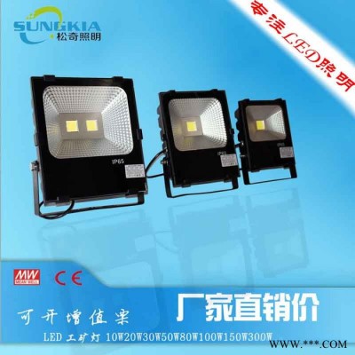 SK厂家批发户外照明专用TG-F13-50W led投光灯图片