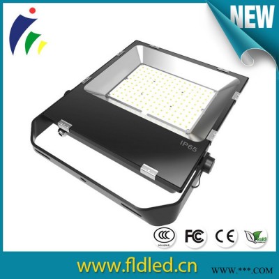 FLD/飞龙达FLD-FGD50W LED泛光灯 楼体大厦 广告招牌 小区亮化led灯