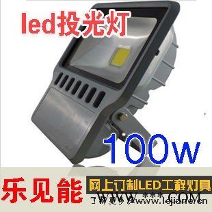 供应乐见能LJN-TGD-100LED集成进口芯片投光灯