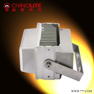 CHINOLITE34DLL050018 新款广告牌投光灯