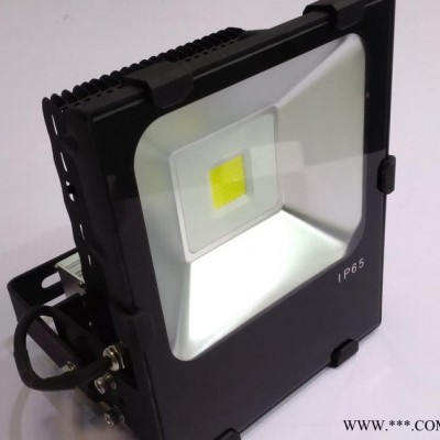 LED泛光灯 投光灯100W-150W-250W公园园林 广场 体育场照明灯具