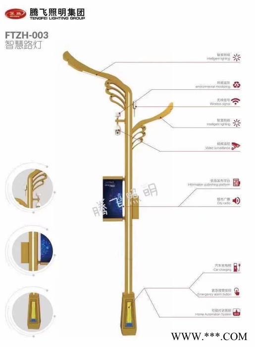 腾飞照明YSA-3195 路灯景观灯  智慧路灯   路灯  庭院灯 道路灯 LED路灯 路灯厂家