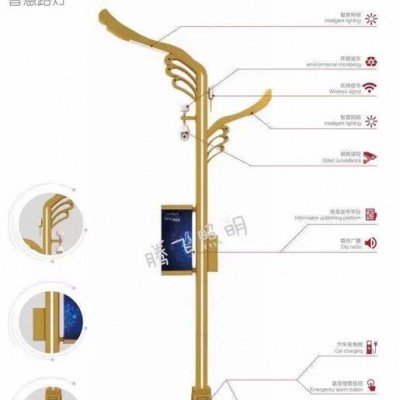 腾飞照明YSA-3195 路灯景观灯  智慧路灯   路灯  庭院灯 道路灯 LED路灯 路灯厂家