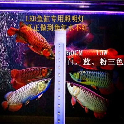 昊林LED鱼缸照明灯管鹦鹉鱼热带鱼龙鱼金龙鱼专用灯水草灯水族箱原厂灯管