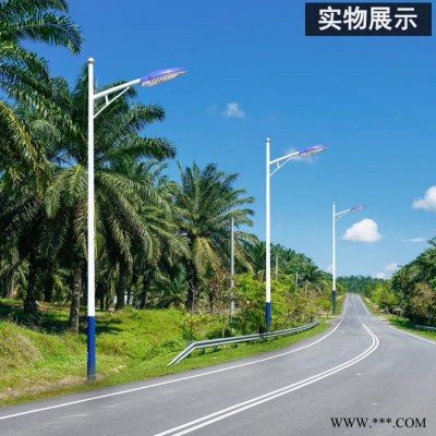 普米瑞YHSD-0001大功率道路灯6米海螺臂市电路灯工程专用 路灯厂家