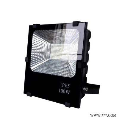 忠山照明100W足瓦led投光灯 LED户外照明灯具 IP65 IP66 防水防雷防尘 高流明 强散热投射灯