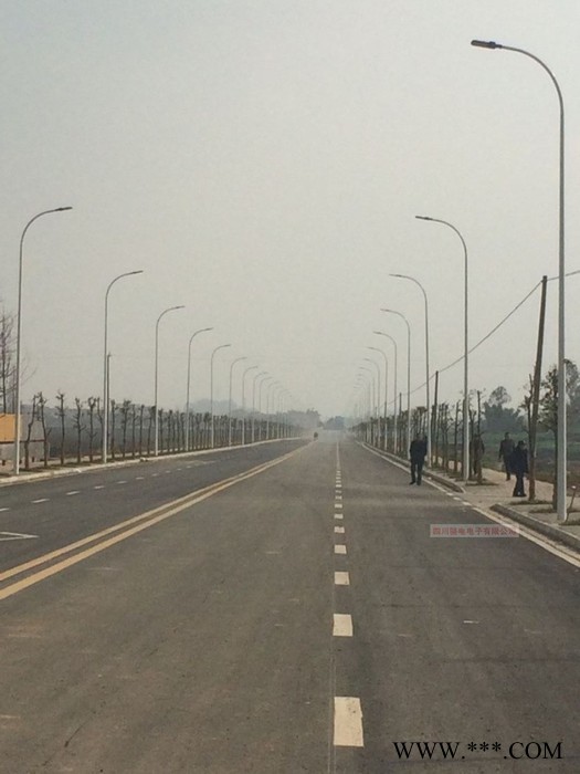 骆电LDLD四川路灯成都路灯单臂路灯自弯5-9米LED路灯道路灯户外灯高杆灯广场灯图8