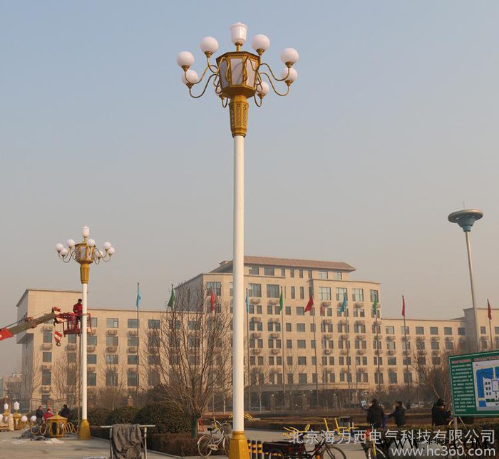 LED路灯户外道路广场马路公园景观灯多头6米7米8米9米中华玉兰灯 9米中华灯