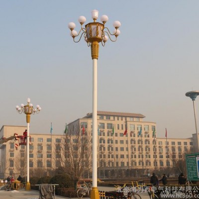 LED路灯户外道路广场马路公园景观灯多头6米7米8米9米中华玉兰灯 9米中华灯