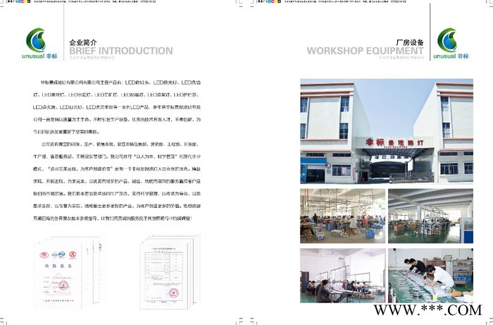 供应非标路灯非标景观灯景观灯、LED路灯