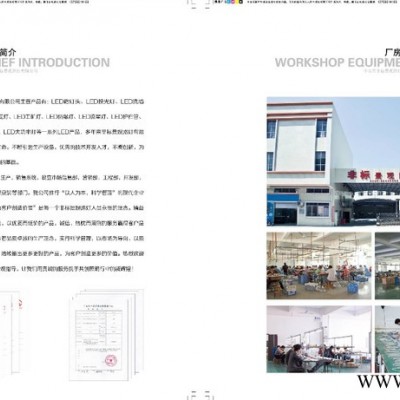 供应非标路灯非标景观灯景观灯、LED路灯