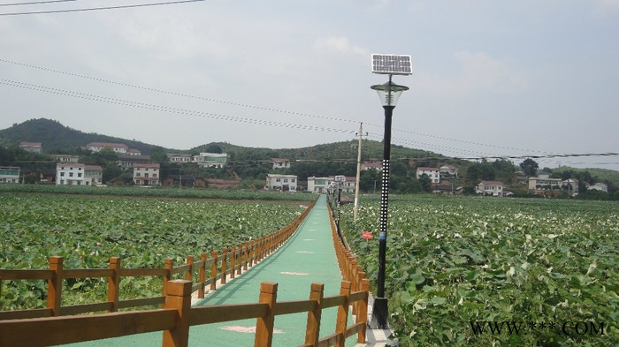 供应仁江牌RJ贵州太阳能景观灯图3