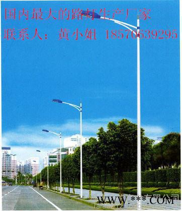 衡阳市供应新农村建设专用景观灯