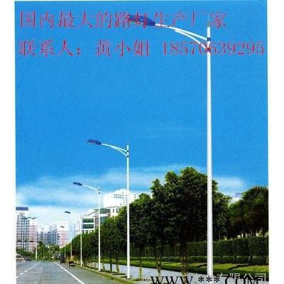 衡阳市供应新农村建设专用景观灯