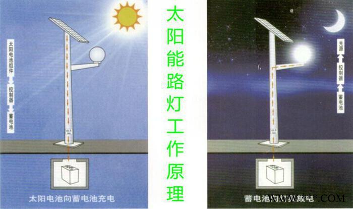 太阳能路灯  LED路灯    生产厂家8米60W 景观灯 庭院灯  新一代户外照明草坪路灯 LED路灯图2