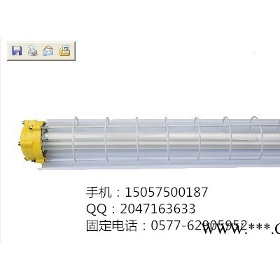 供应标普电器NFE001防爆荧光灯  单管