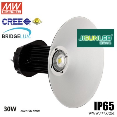 30W LED工矿灯 供应高亮度30WLED工矿灯 工矿厂房灯具 led工厂灯 天棚灯