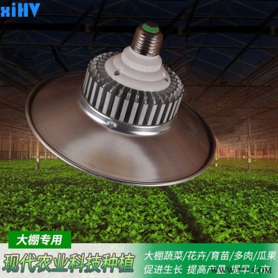 鑫航微 XIV-50W-36 植物生长灯 大棚种植补光工矿灯