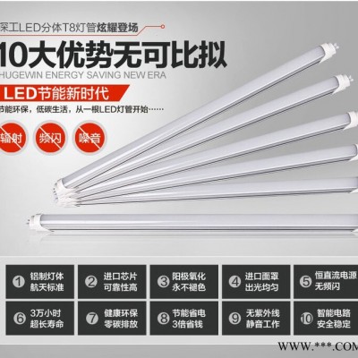 **t8led灯管1.2米18W日光灯分体式LED日光灯led灯管