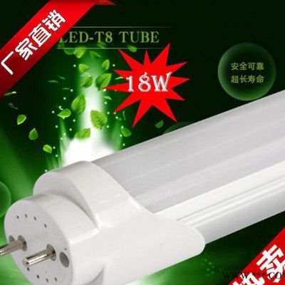 销售T8椭圆LED灯管 全新高亮LED节能日光灯
