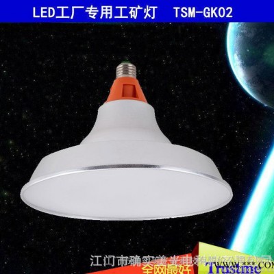 TSM-GK02— LED工厂专用工矿灯 欧式工程壁灯 工程