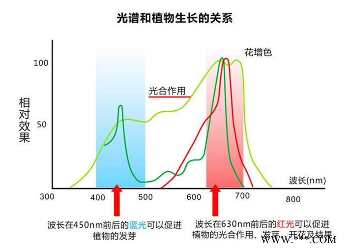 龙之心T5led植物生长灯 LED日光灯支架灯 多肉植物培养货架灯具 自带小开关 串联led灯带图2