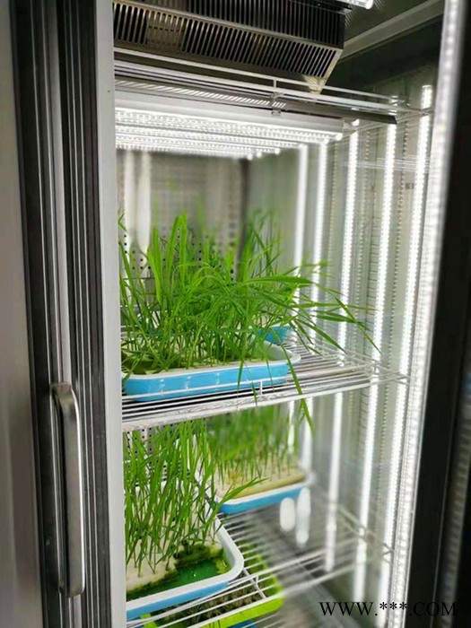 龙之心T5led植物生长灯 LED日光灯支架灯 多肉植物培养货架灯具 自带小开关 串联led灯带图6