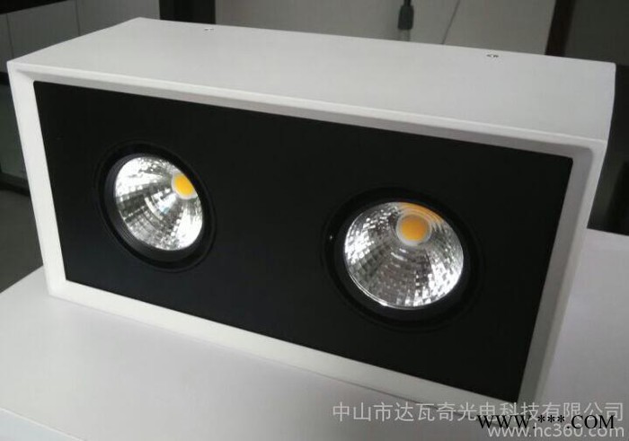 LED 明装筒灯双头