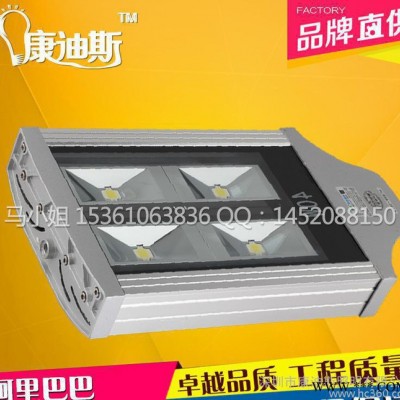 直销路灯 LED大功率40W60W80W路灯头 工程灯 高杆