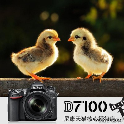 分期购 尼康D7100套机 18-300mm长焦镜头单反相机