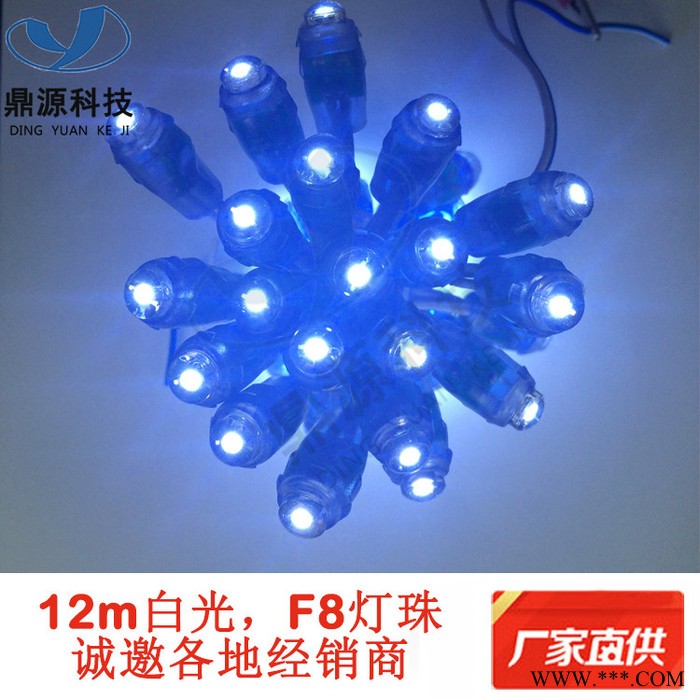 led12mm外露灯串穿孔防雨灯珠广告牌发光字专用光源 led12mm外露灯串广告光源图2